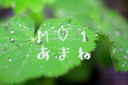 ����ɂ��́�(�L���M)