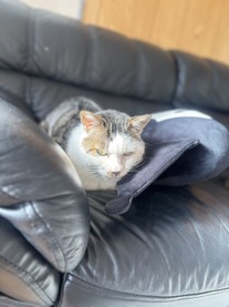 �}�V�F���̊ŔL?