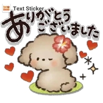 �V���̂���̉摜