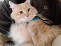 ���ε����β���