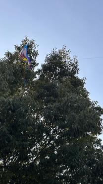 ������L?