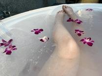 �u���O�摜