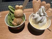 �u���O�摜