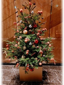 ���ε����β���