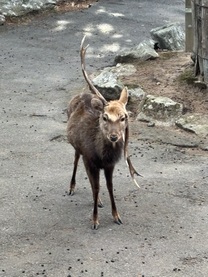 2��22���̌��🩷�̉摜