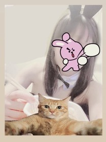 ���ε����β���