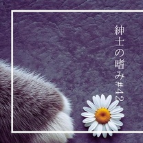 �u���O�摜