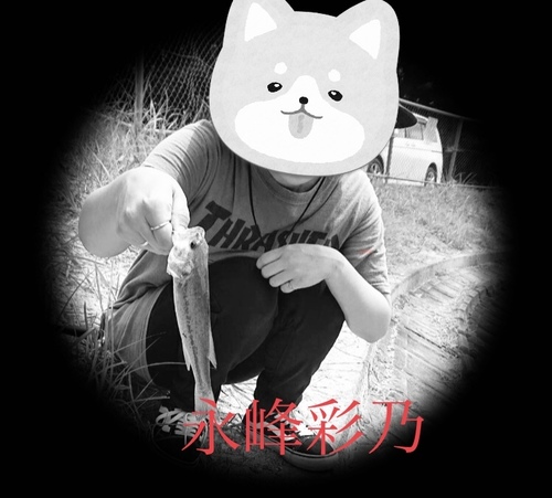 ＃お題：今楽しみしている事はなに？の画像