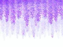 ����F�S�ł̐n�͍D���H���͂��������āI�̉摜