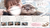 �u���O�摜