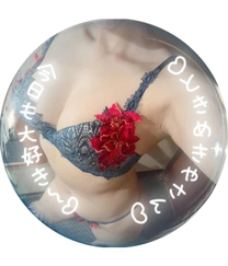 �u���O�摜