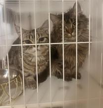 ���ε����β���