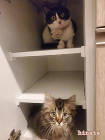 ���ε����β���