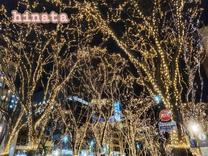 ���ε����β���