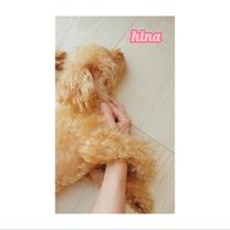 �u���O�摜