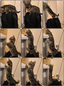 ���ε����β���