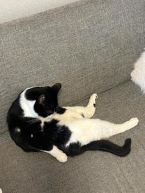 ���ε����β���