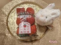 ���ε����β���