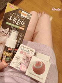 ���ε����β���