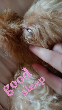 ���ε����β���