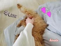 ���ε����β���