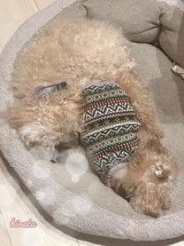 ���ε����β���