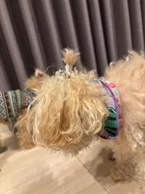 ���ε����β���