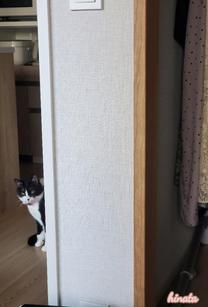 �����킽��