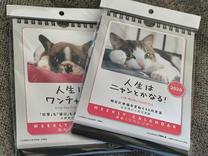 ���N�P��?