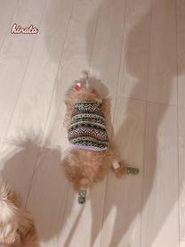 ���ε����β���