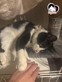 ���ε����β���