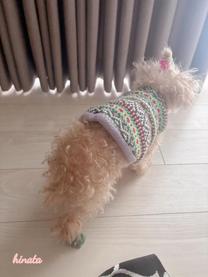 ���ε����β���