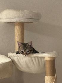 ���ε����β���