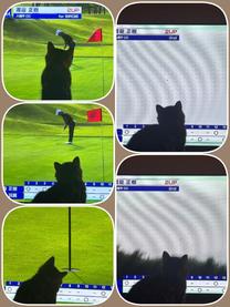 ���ε����β���