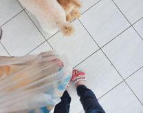 ���ε����β���