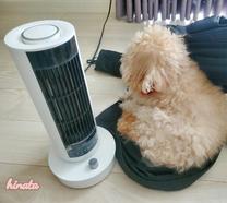 ���ε����β���