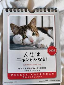 ���ε����β���