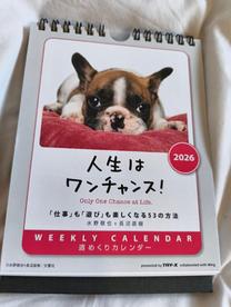 ���ε����β���