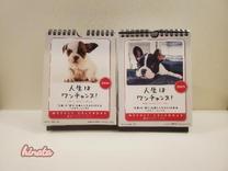 ���ε����β���