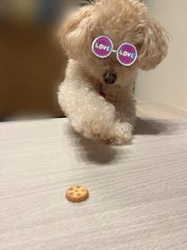 ���ε����β���