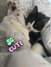 ���ε����β���