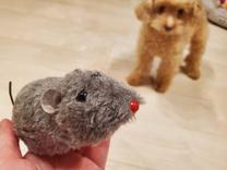 ���ε����β���