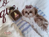 ���ε����β���