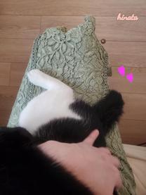 ���ε����β���