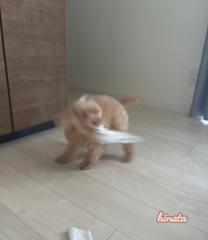 ���ε����β���