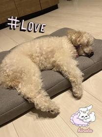 ���ε����β���