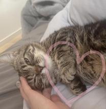 ���ε����β���