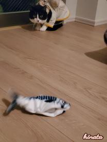 ���ε����β���