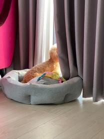 ���ε����β���