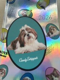 ���ε����β���